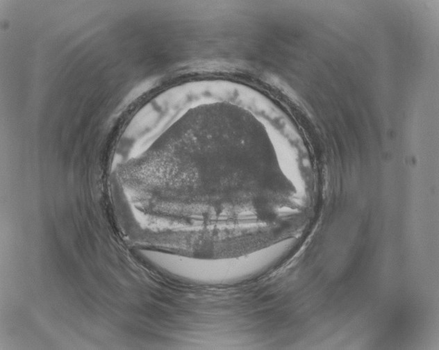 X0000064721213200603131219