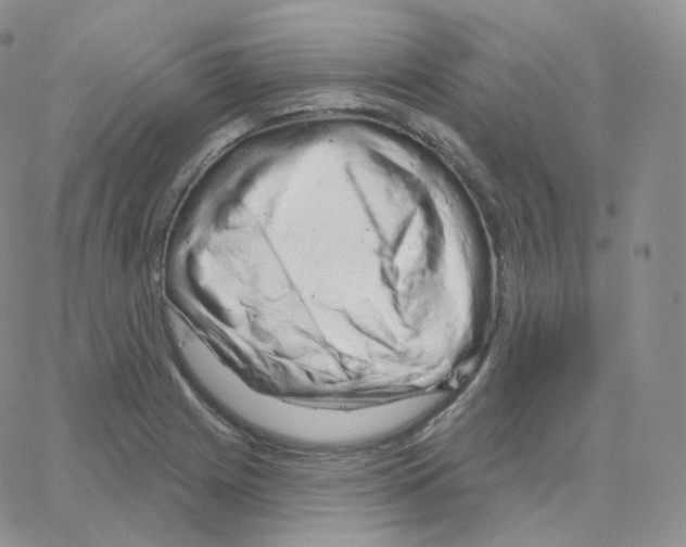 X0000064721225200603131219