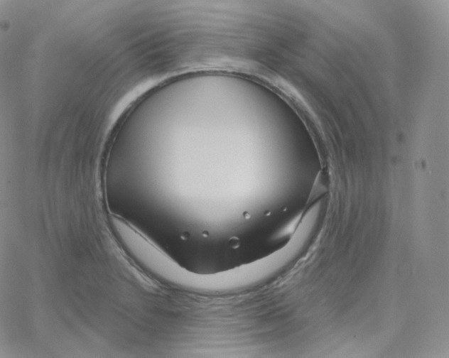 X0000064721230200603131219