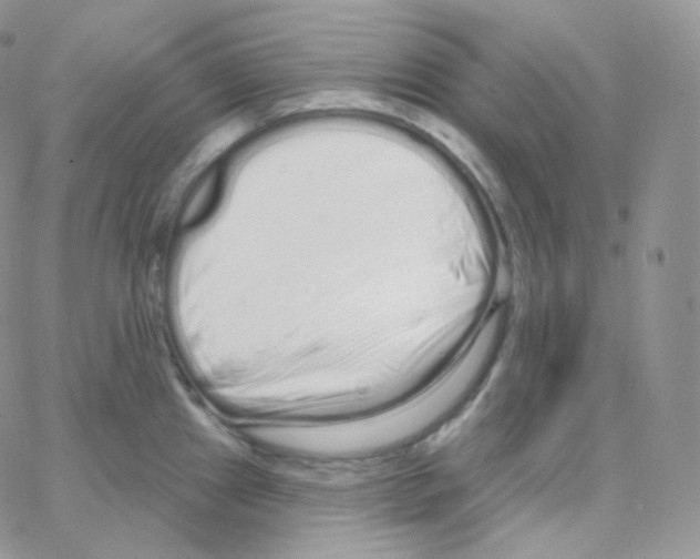 X0000064721241200603131219