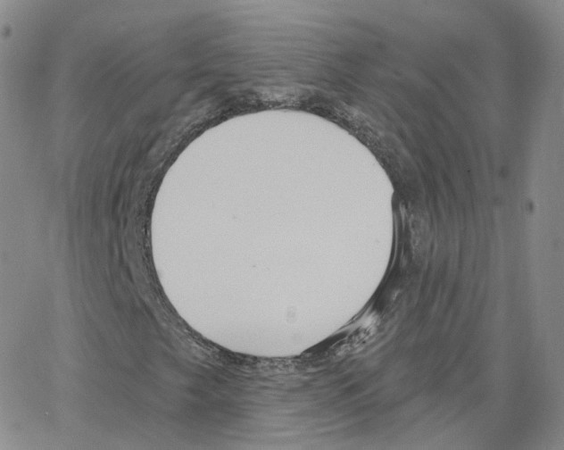 X0000064721249200603131219