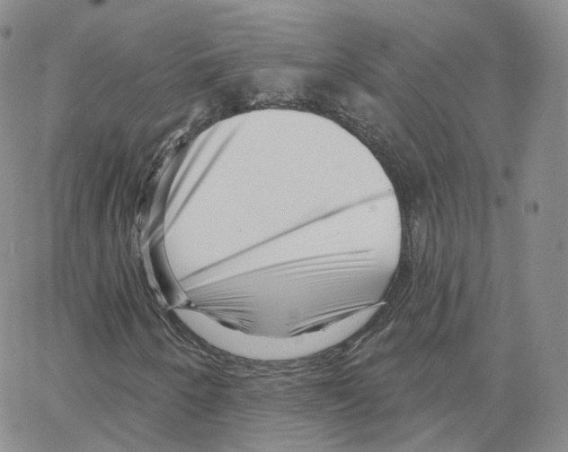 X0000064721250200603131219
