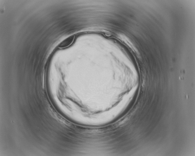 X0000064721276200603131218