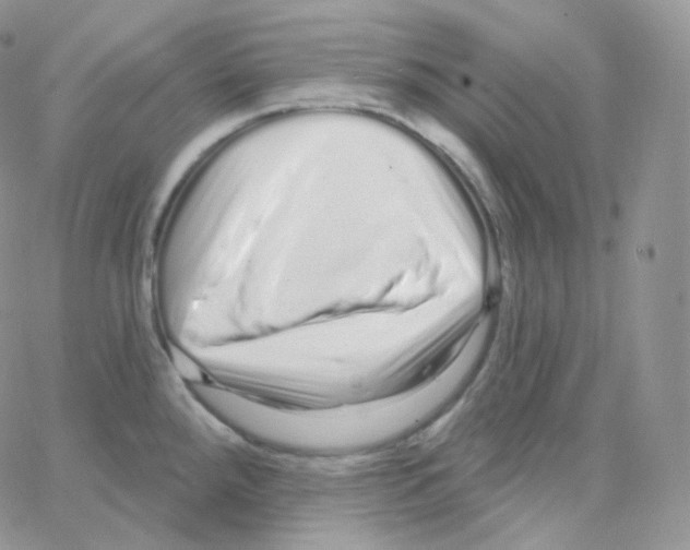 X0000064721288200603131218