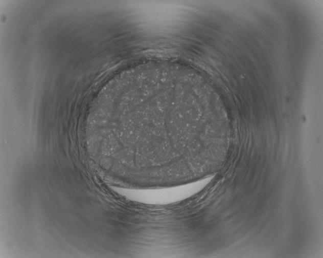 X0000064721297200603131217