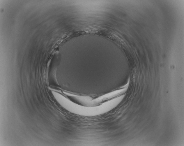 X0000064721298200603131217