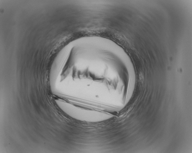 X0000064721300200603131217