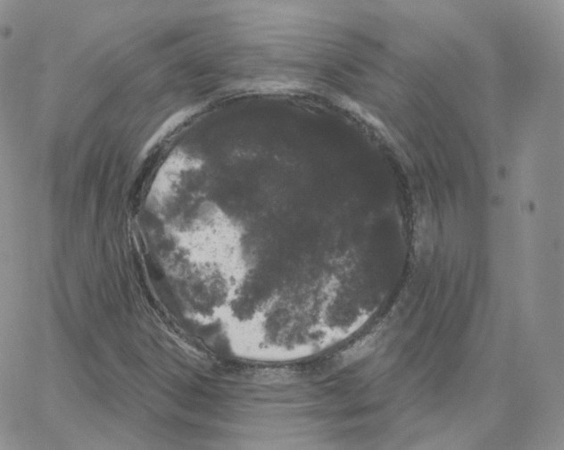 X0000064721306200603131217