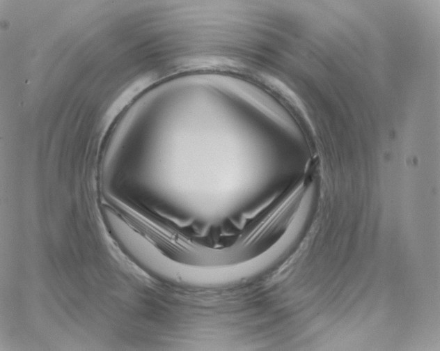 X0000064721330200603131218