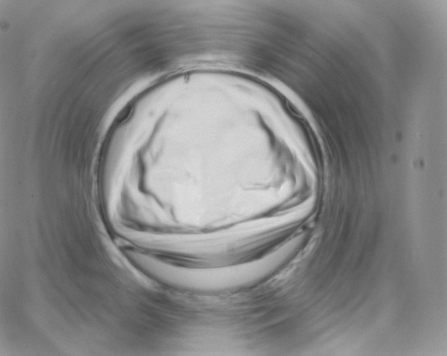 X0000064721341200603131218