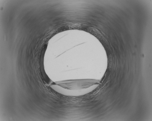 X0000064721345200603131217