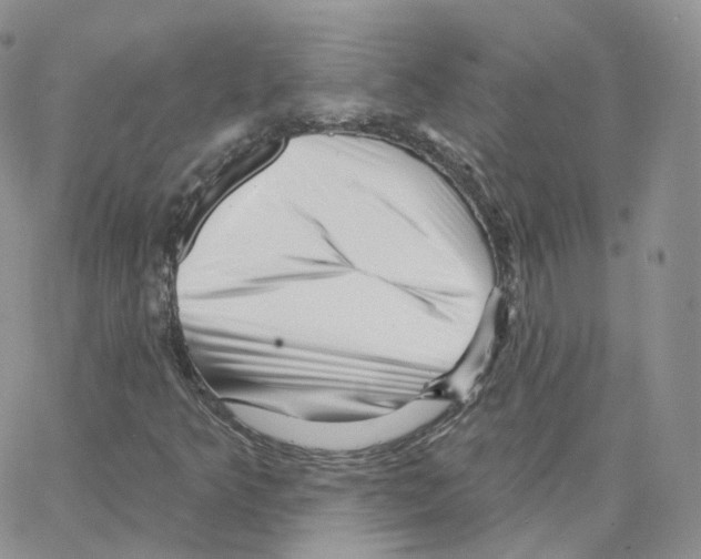 X0000064721349200603131217