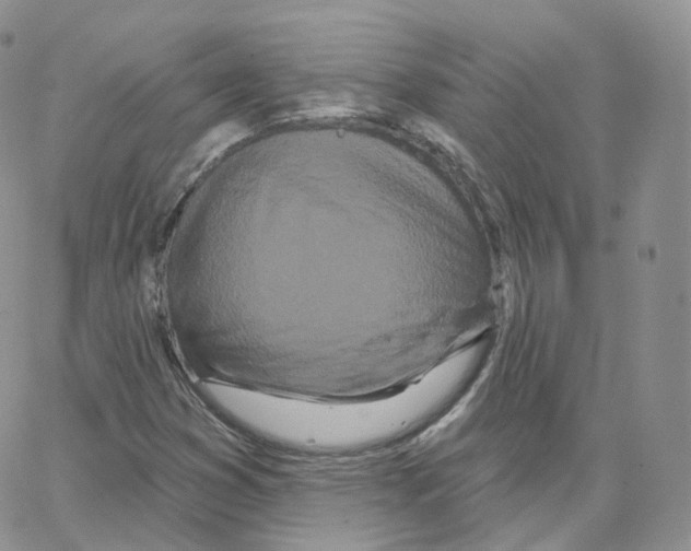 X0000064721353200603131217