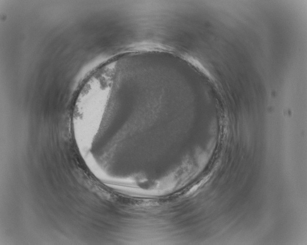 X0000064721358200603131217