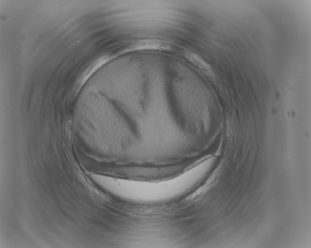 X0000064721369200603131217