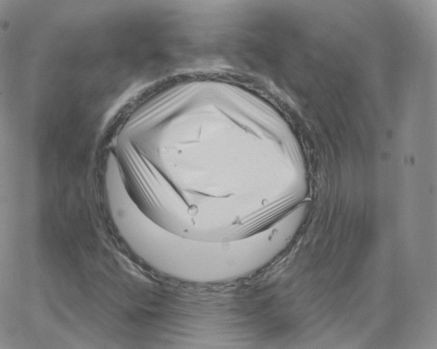 X0000064721400200603131216
