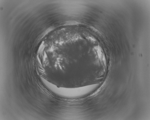 X0000064721401200603131216