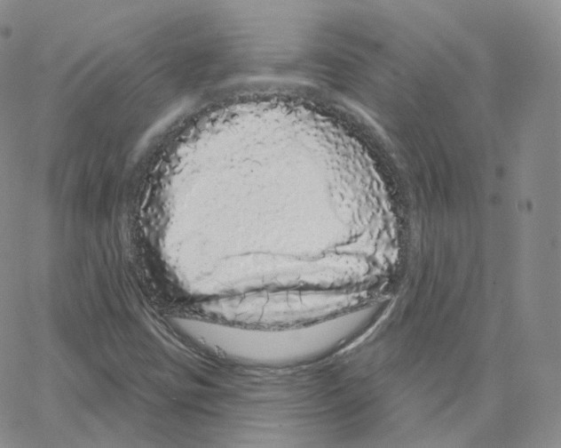 X0000064721403200603131216