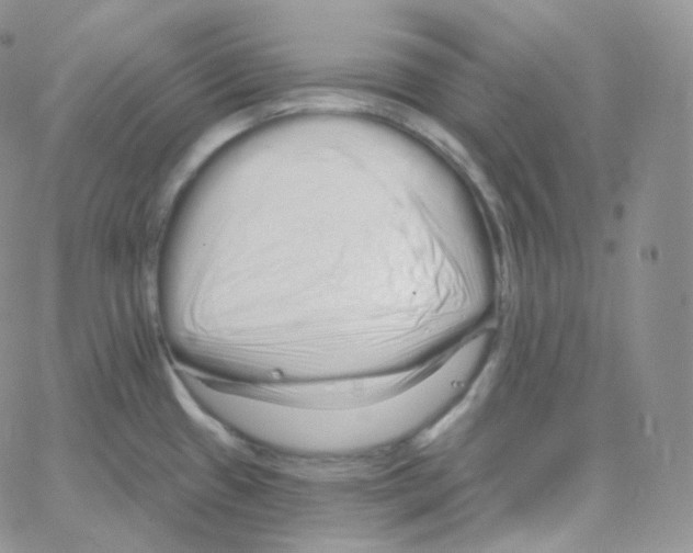 X0000064721433200603131216