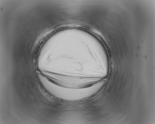 X0000064721448200603131216