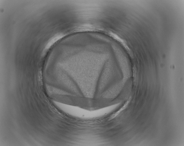 X0000064721453200603131215