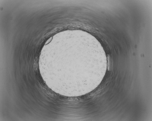 X0000064721491200603131214