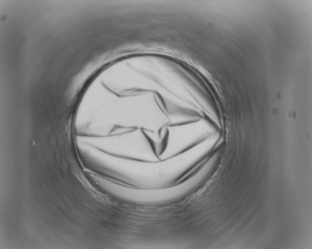 X0000064721503200603131214