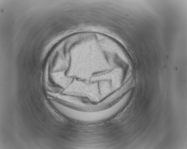 X0000064721507200603131214