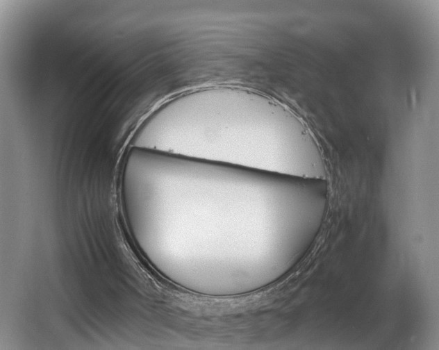 X0000064730002200602101009