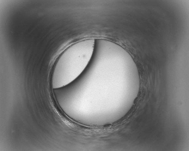 X0000064730005200602101009