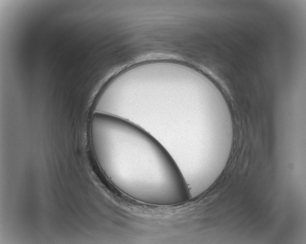 X0000064730015200602101009
