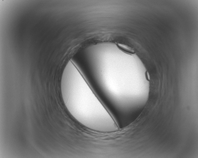 X0000064730035200602101009