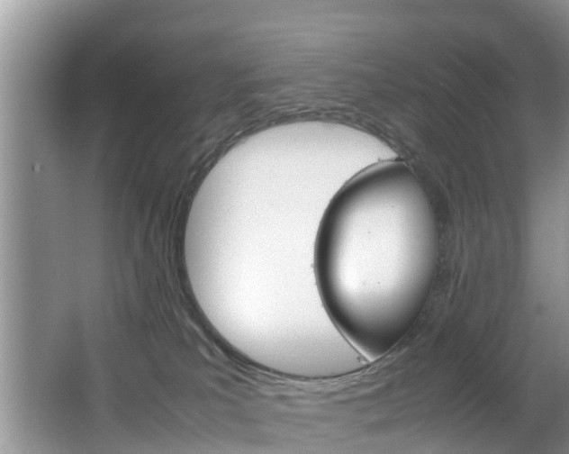 X0000064730039200602101009