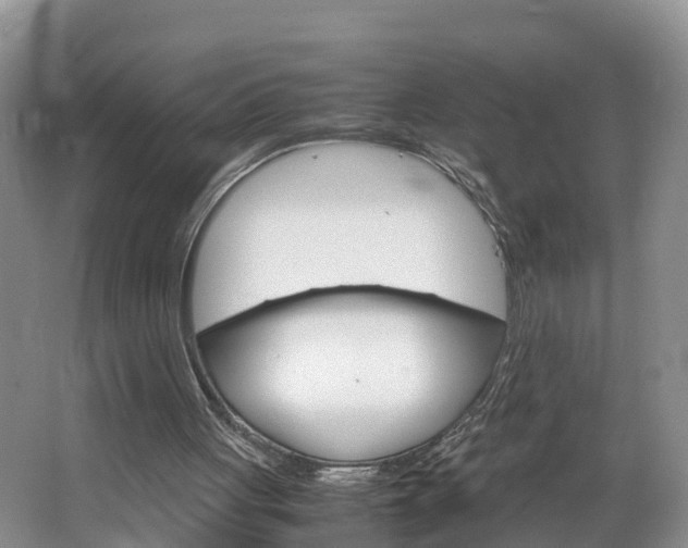 X0000064730051200602101008
