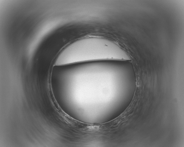 X0000064730052200602101008