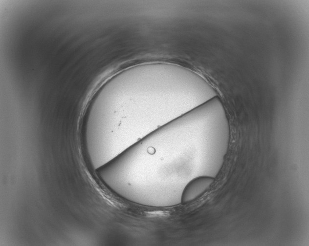 X0000064730053200602101008