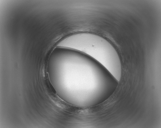 X0000064730068200602101008