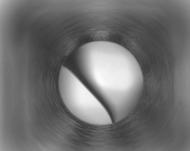 X0000064730083200602101008
