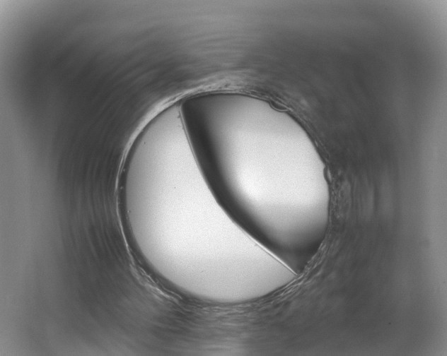 X0000064730100200602101008