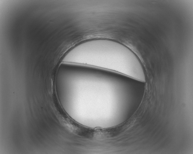 X0000064730109200602101008