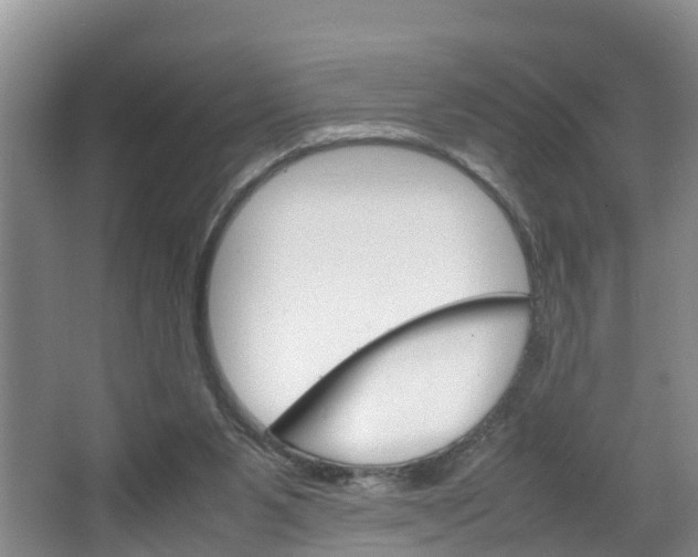 X0000064730111200602101008