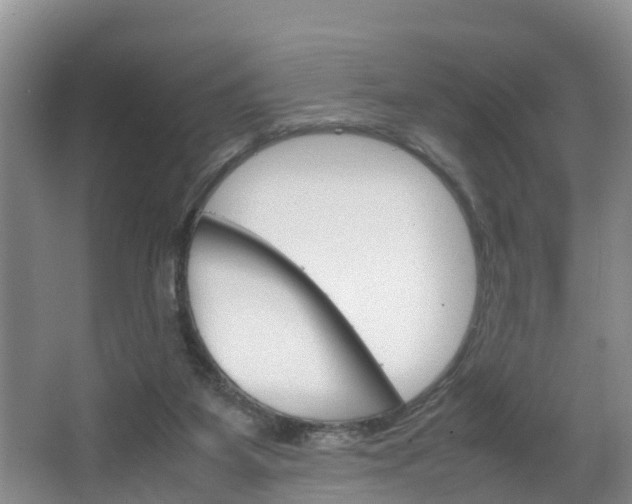 X0000064730115200602101008