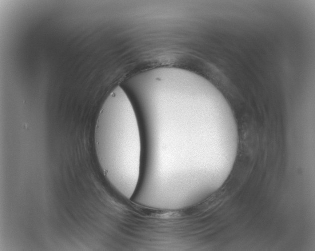 X0000064730122200602101007