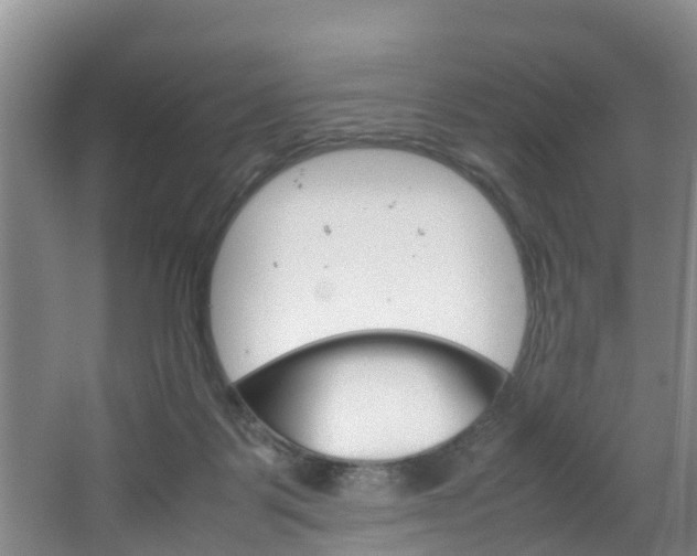 X0000064730123200602101007