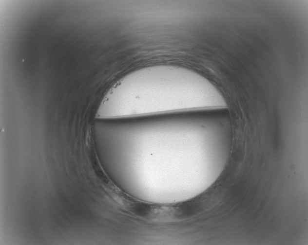 X0000064730125200602101007