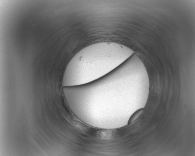 X0000064730134200602101007