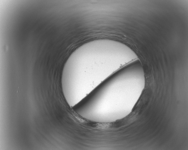 X0000064730143200602101007