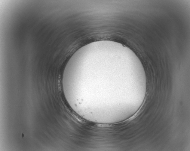 X0000064730144200602101007