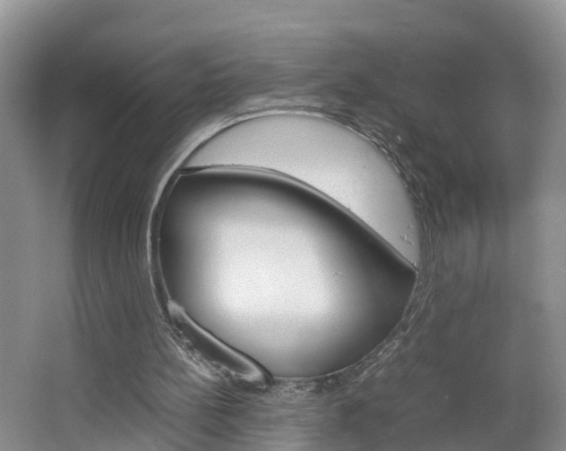 X0000064730148200602101006