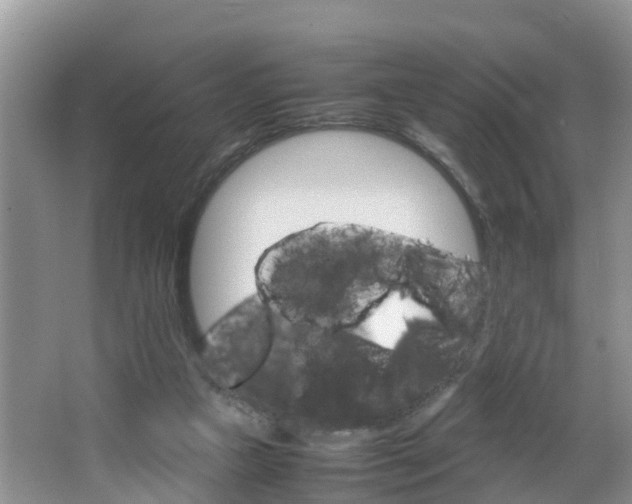 X0000064730161200602101007